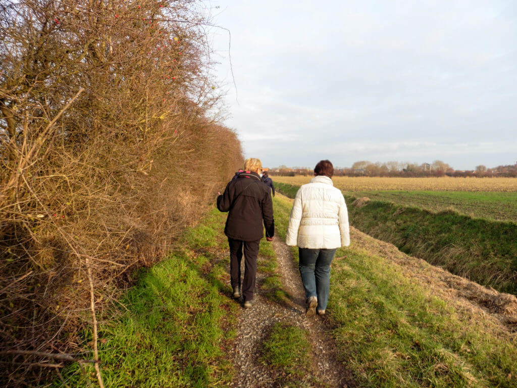 Heerlijk wandelen in de zon Heerlijk wandelen in de zon