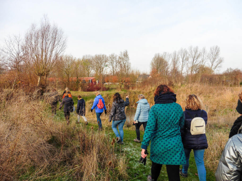 De winter maakt het verdroogde riet mooi om te zien De winter maakt het verdroogde riet mooi om te zien