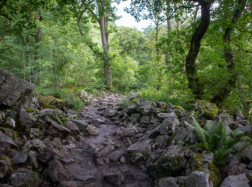 4-Waterfalls-Trail-Brecon-Beacons